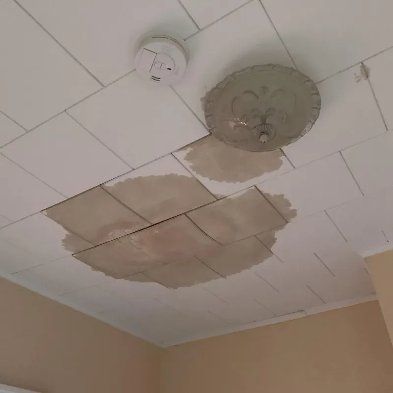 Ceiling Water Damage Repair in Rockland, ME