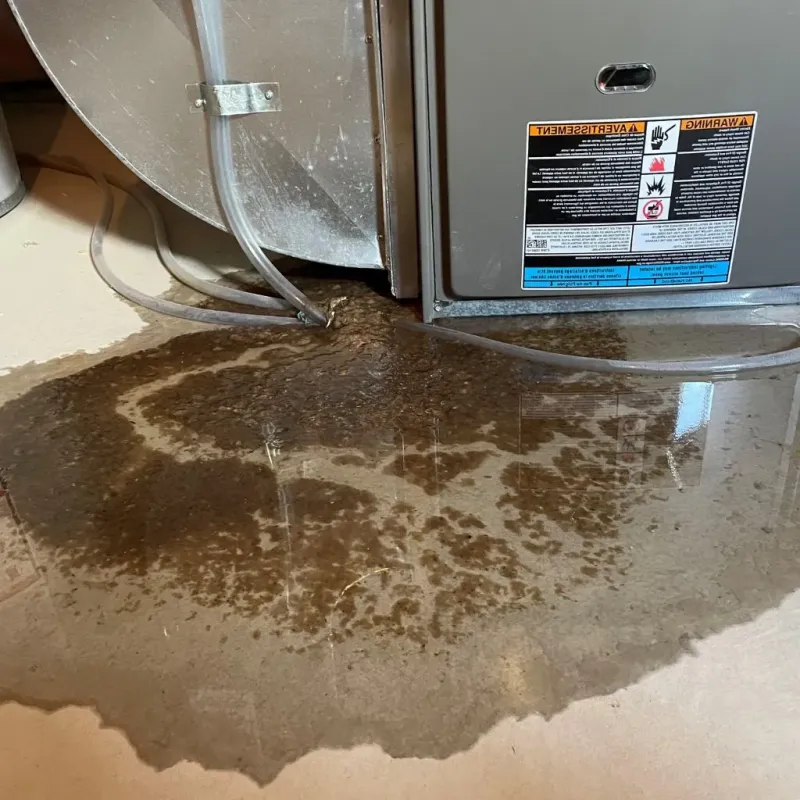 Pipe Burst and Leak Restoration in Rockland, ME